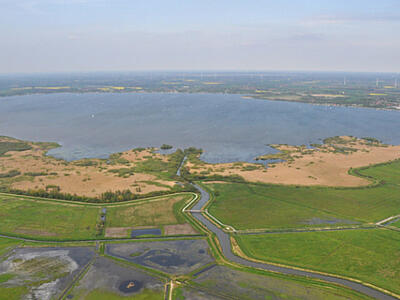 Luftbild Dümmersee Schilfzone