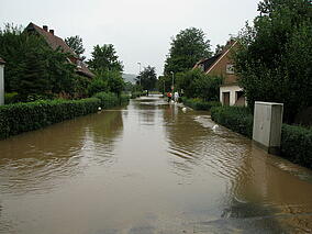Beim Hochwasser 2010 waren die Straßen überflutet.
