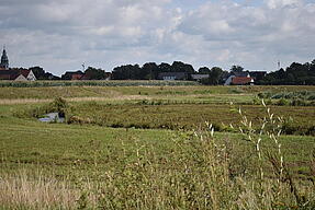 Ein gewundener Bach durch eine gemähte Grünfläche. Im Hintergrund Bäume und Häuser unter bewölktem Himmel.