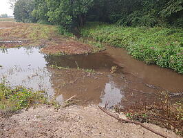 Rechts ein Graben mit grünem Uferbewuchs und Bäumen, links eine überflutete brachliegende Fläche