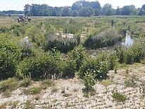 Ein Bach fließt in einer Kurve, links ist ein Bagger, rechts steht ein Mann im Hintergrund sind Bäume.