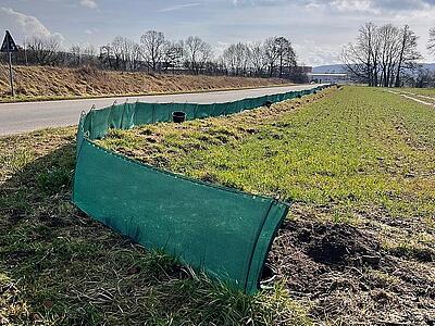 Der Krötenzaun verläuft entlang des Straßengrabens.